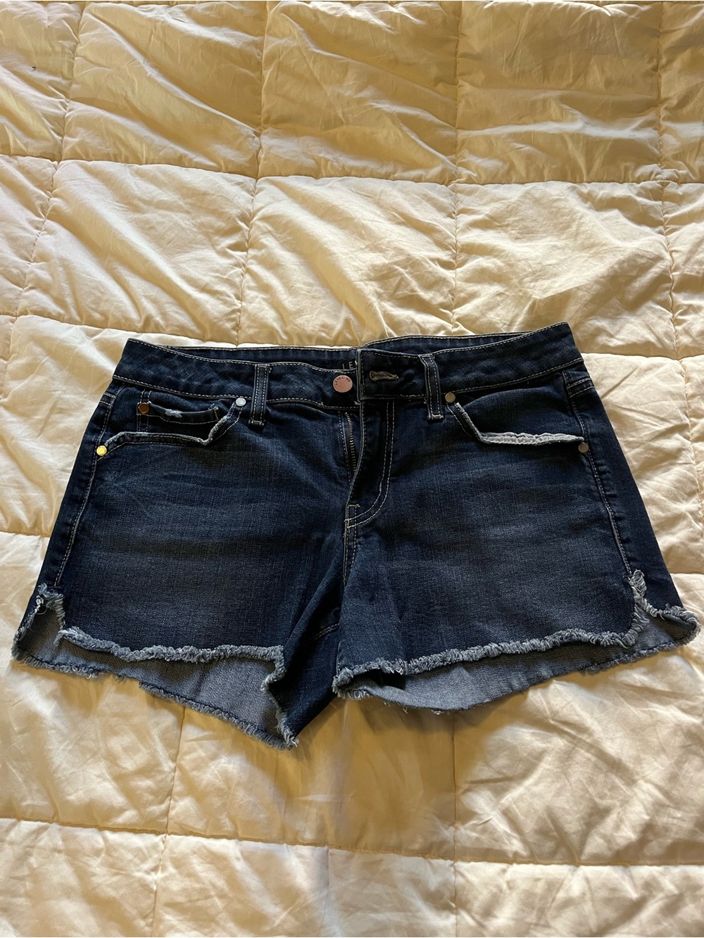 Dark Wash Denim Frayed Hem Women's Shorts - Level 99 Size 28